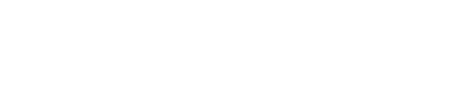 Premium Janitorial Services