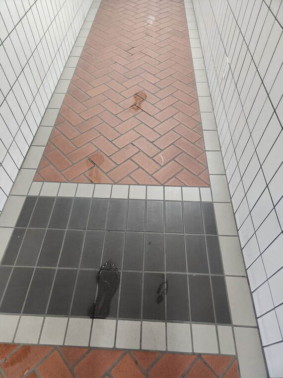 Quarry tile walkway before cleaning